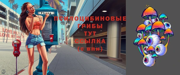 не бодяженный Ладушкин