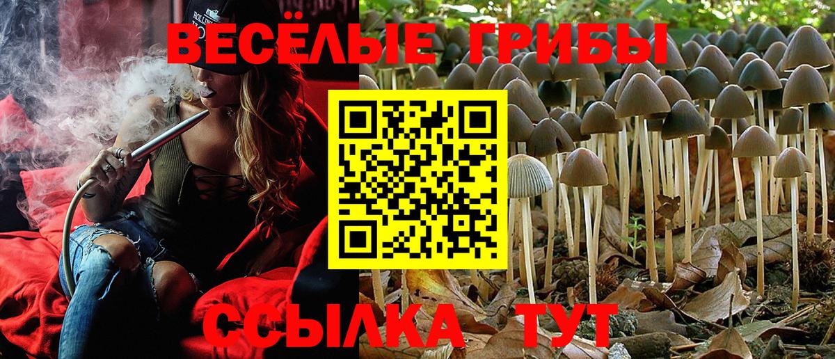 цена   Псилоцибиновые грибы Cubensis  Вход с VPN  Старая Купавна 