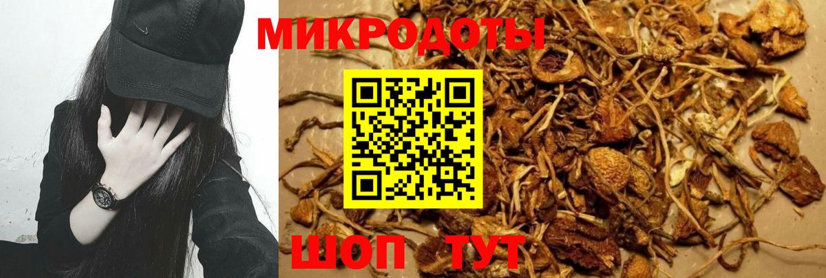 Галлюциногенные грибы ЛСД Старая Купавна